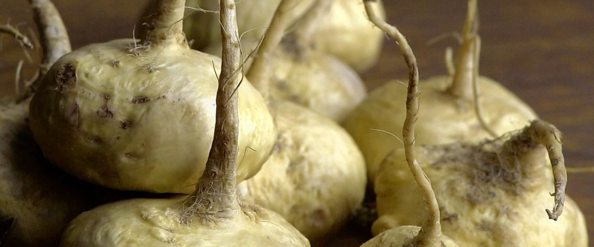Unlocking Energy: The Comprehensive Benefits of Maca Root
