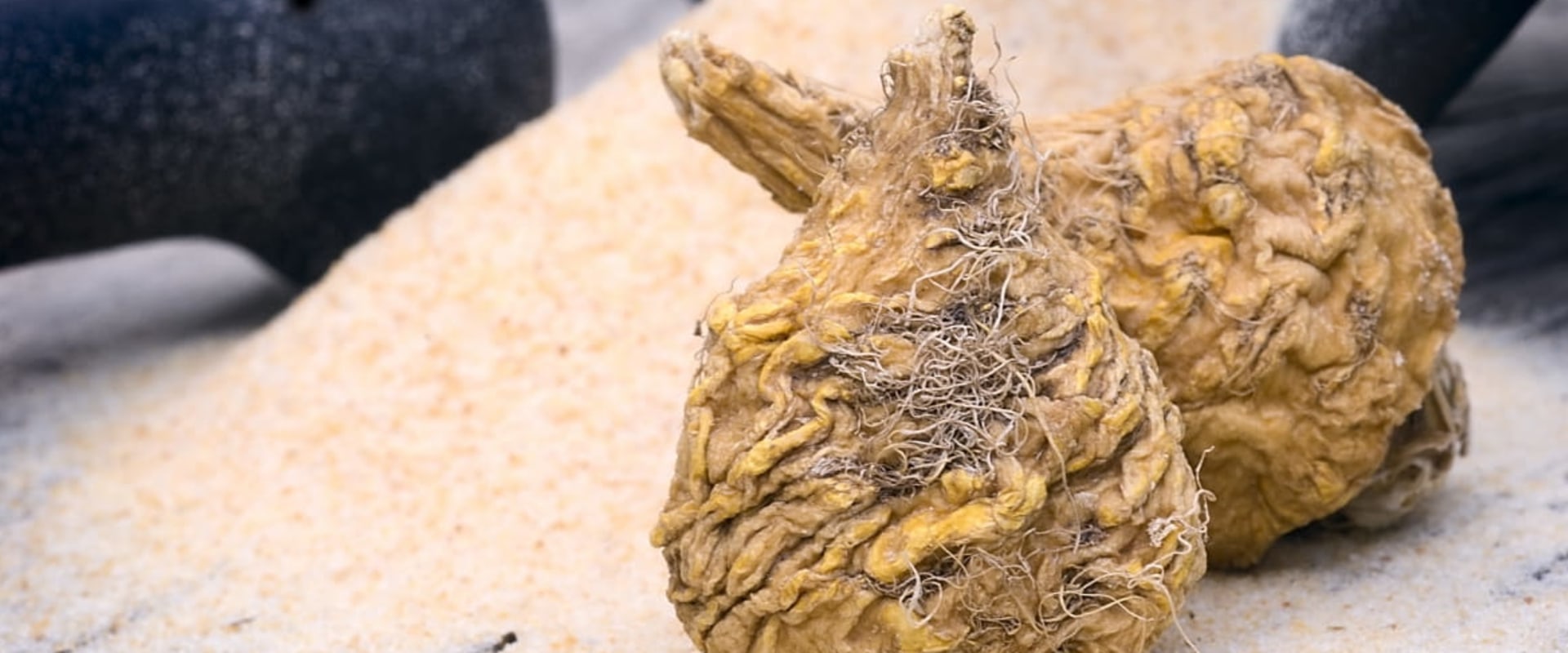 The Comprehensive Guide to Maca Root: Benefits, Dosage, and Side Effects