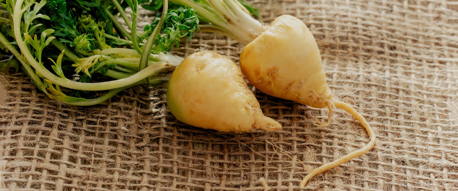 Unlocking the Power of Maca Root: Comprehensive Insights into Its Antioxidant Benefits