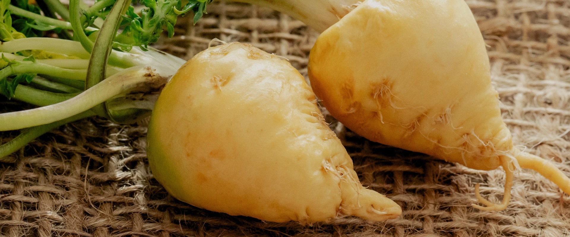Unlocking the Power of Maca Root: Comprehensive Benefits for Weight Loss