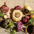 Understanding the Effects of Maca Root on Estrogen and Testosterone Levels