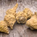 The Nutritional Benefits of Maca Root