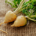 Maca Root: Dosage for Specific Uses