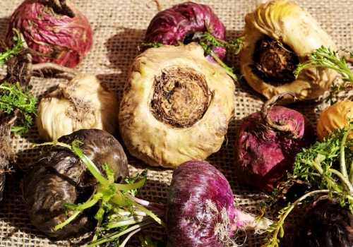 Understanding the Effects of Maca Root on Estrogen and Testosterone Levels