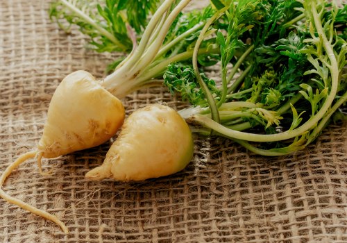 All You Need to Know About Maca Root and Its Antioxidant Benefits